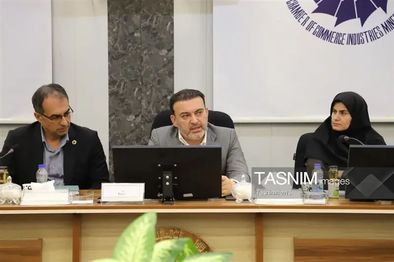 زنجان ظرفیت تبدیل به قطب اقتصاد دیجیتال شمالغرب را دارد - تسنیم