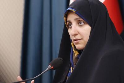  معاون رئیس‌جمهور: حفظ کرامت طرفین در پرونده‌های خانوادگی مهم است
