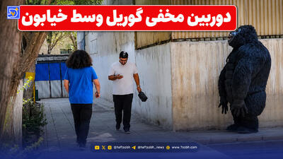  دوربین مخفی طنز اینستا گوریل وسط خیابون؛ مسیر زندگیش کلا عوض شد!