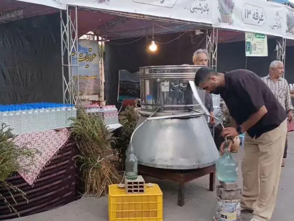 جشنواره عرقگیری بادرشبی در مراغه