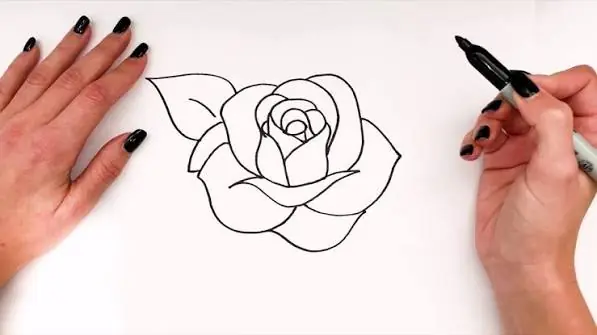  چطور مثل یک نقاش حرفه‌ای گل رز بکشیم؟   | آخرین خبر