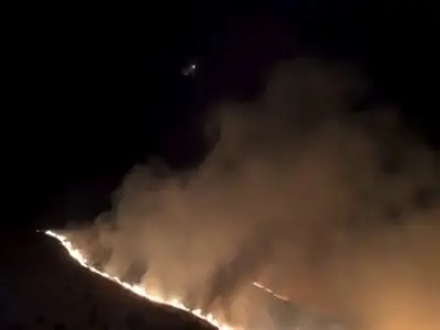  تشدید آتش‌سوزی‌های جنگلی در «نوادا» و قطع برق ۶۰ هزار خانواده | آخرین خبر
