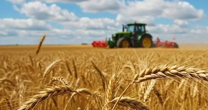 پرداخت ۷۰ درصد مطالبات گندمکاران کهگیلویه و بویراحمد تا یک ماه آینده | آخرین خبر