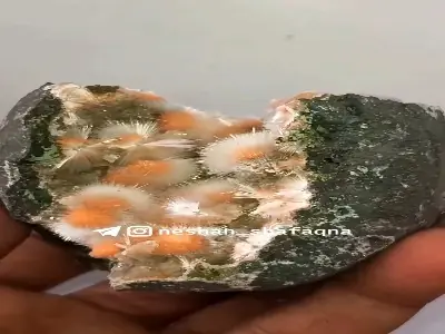 این سنگها قبل از سرد شدن، درون خود نقاشی میکشند | آخرین خبر