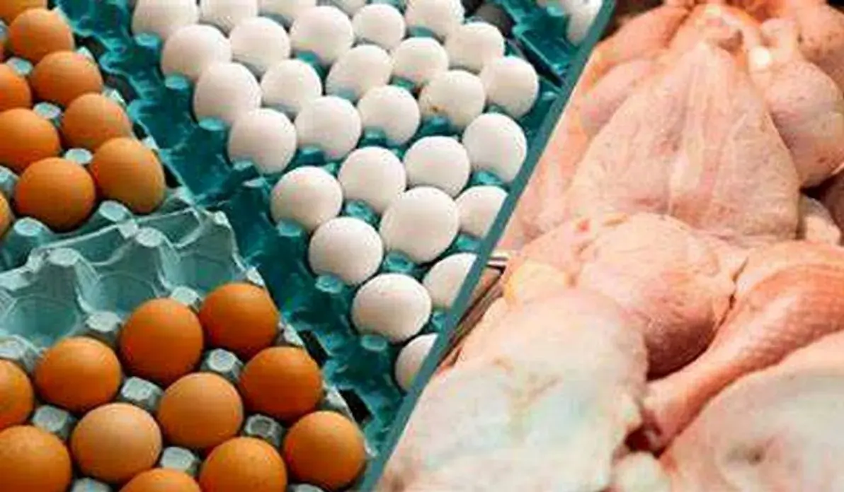 حمله کیهان به دولت: چرا صادرات مرغ، تخم مرغ و تن ماهی را آزاد کردید؟