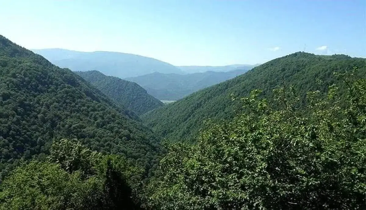سرنوشت ۴ جوان گمشده در جنگلهای تالش