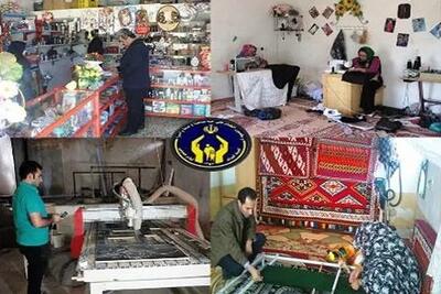 بهرهبرداری از ۱۵۰۰ طرح اشتغالزایی مددجویان بوشهری در هفته دولت