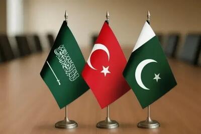 پیمان مکه در مسیر شکلگیری نظم امنیتی جدید منطقه است/ تنش میان ترکیه و اسرائیل به درگیری نظامی منجر نمیشود