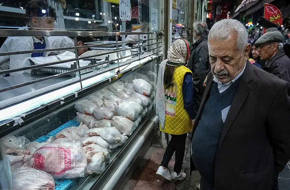 قیمت مرغ بالاخره مشخص شد؛ صادرات مرغ بهزودی آغاز میشود؟
