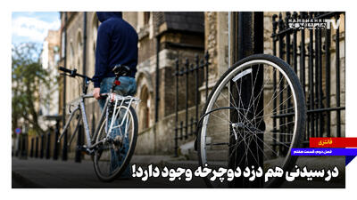 ببینید؛ در سیدنی هم دزد دوچرخه وجود دارد! + ویدئو