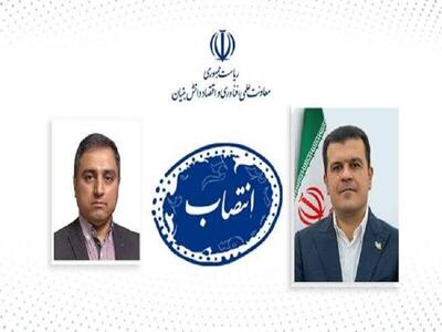 مدیر برنامه ملی حکمرانی علم، فناوری و نوآوری منصوب شد