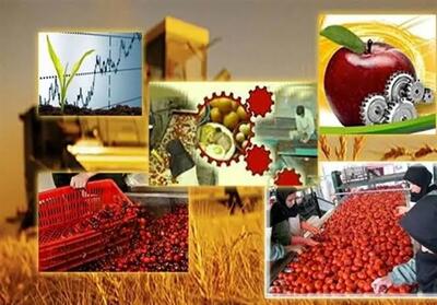  بهره‌برداری از ۱۹۹ پروژه صنایع تبدیلی و غذایی در هفته دولت
