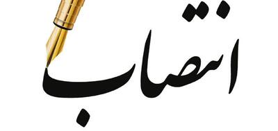 مدیر اجرایی مجمع جهانی قلم منصوب شد