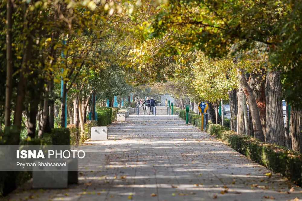 شروع پاییز با گرما؛ پیشبینی بارشهای مطلوب پاییزی
