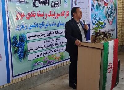 معاون استاندار: صنایع تبدیلی به رونق اقتصادی مناطق کشاورزی فارس کمک میکند