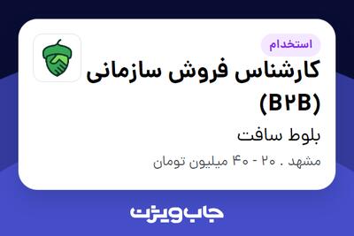  استخدام کارشناس فروش سازمانی (B2B) در بلوط سافت