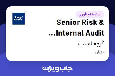 استخدام Senior Risk Internal Audit Specialist در گروه اسنپ