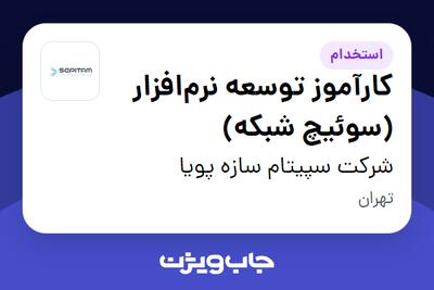  استخدام کارآموز توسعه نرم‌افزار (سوئیچ شبکه) در شرکت سپیتام سازه پویا