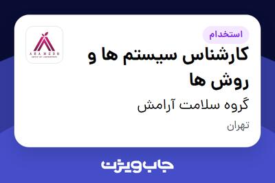 استخدام کارشناس سیستم ها و روش ها در گروه سلامت آرامش