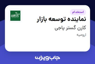 استخدام نماینده توسعه بازار در کارن گستر پاجی