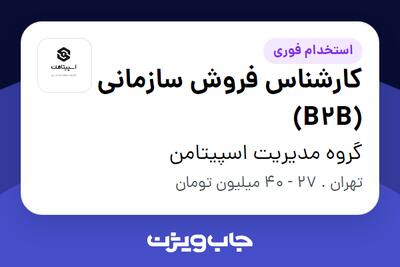 استخدام کارشناس فروش سازمانی (B2B) در گروه مدیریت اسپیتامن
