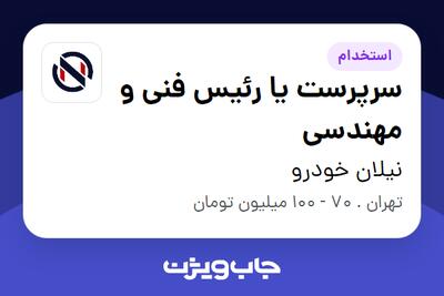  استخدام سرپرست یا رئیس فنی و مهندسی - آقا در نیلان خودرو
