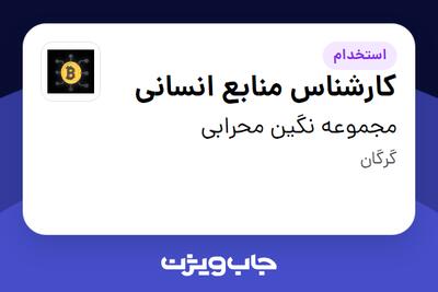 استخدام کارشناس منابع انسانی - خانم در مجموعه نگین محرابی