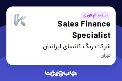  استخدام Sales Finance Specialist در شرکت رنگ کانسای ایرانیان