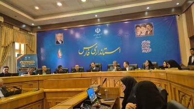 استاندار فارس: تشکلهای مردمنهاد شرکای راهبردی در حکمرانی مشارکتی هستند