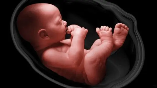 آیا جنین سقط شده، غسل و کفن دارد؟