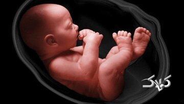آیا جنین سقط شده، غسل و کفن دارد؟ - مجله اینترنتی کولاک