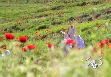 الگوی دینیِ حضور زن در جامعه؛ نه انزوا، نه بیمرزی - مجله اینترنتی کولاک