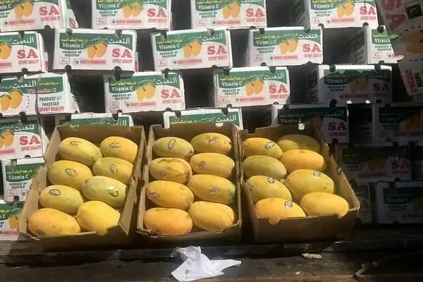 محموله ۱۸ تنی انبه قاچاق در نایین توقیف شد