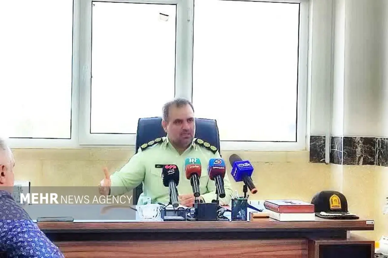 باباعلی: کشفیات سرقت در رباطکریم ۷۲ درصد افزایش یافت