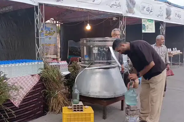 جشنواره خوش عطر بادرشبی در مراغه