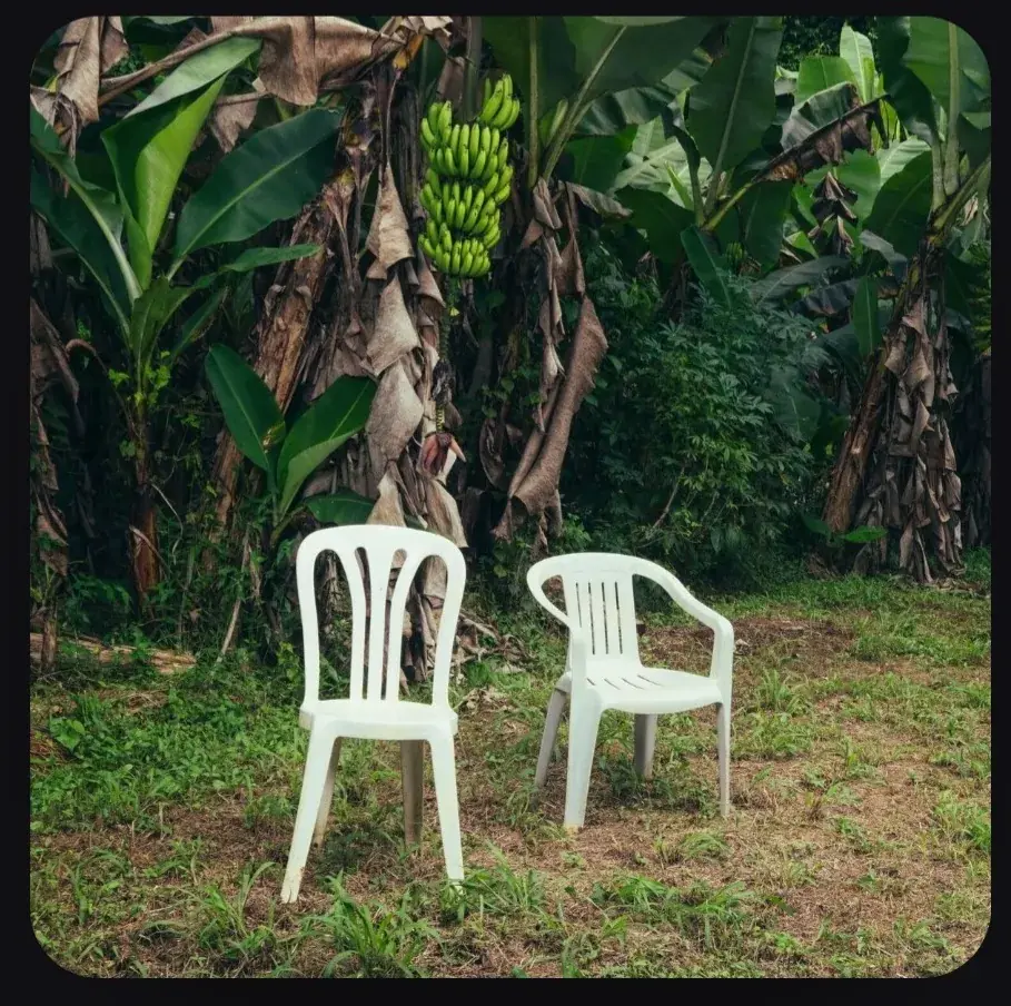  دانلود آهنگ Bad Bunny - DtMF - پارس فوتبال