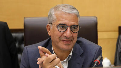 انارکی محمدی: دیپلماسی اقتصادی میتواند مسیر تجارت را هموار کند