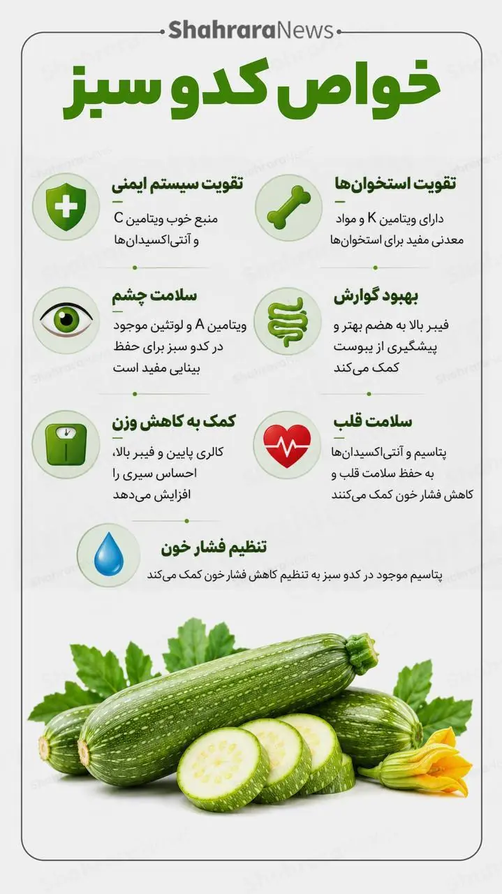  اینفوگرافی| خواص کدو سبز