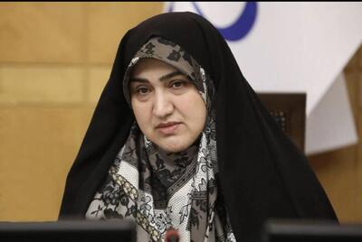 رئیس فراکسیون محیط زیست مجلس: همچنان بزرگترین و مهمترین عامل آلودگی هوا منابع متحرک است