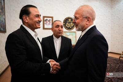 دیدار رئیس مجلس شورای اسلامی با فرمانده ارتش پاکستان