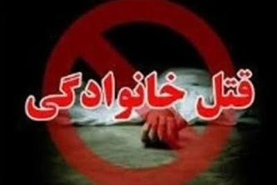 عامل جنایت خونین در بهارستان: همسرم قهر کرد و به خانه پدرش رفت که... - تسنیم