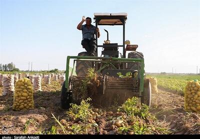 800 اشتغال در روستاهای استان کرمان با پرداخت تسهیلات ایجاد شد - تسنیم
