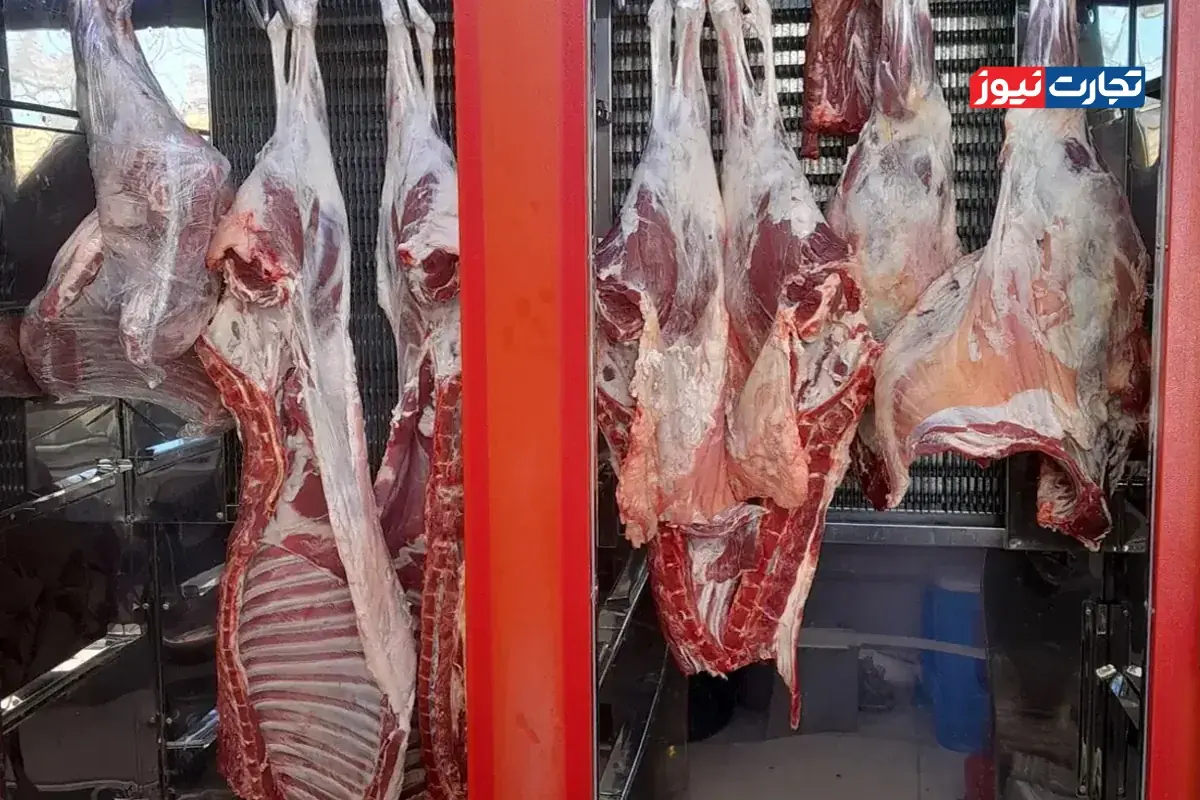 قیمت گوشت قرمز امروز ۲ شهریور ۱۴۰۵ + جدول