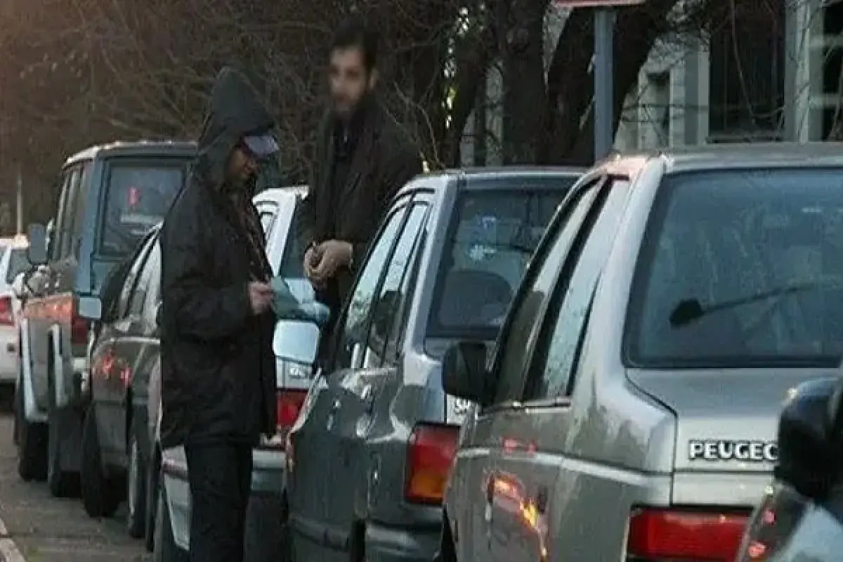 پای جاپارک فروشان تهرانی به دادسرا رسید