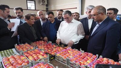 بهرهبرداری از واحد سورتینگ و سردخانه ۲ هزارتنی در مهاباد