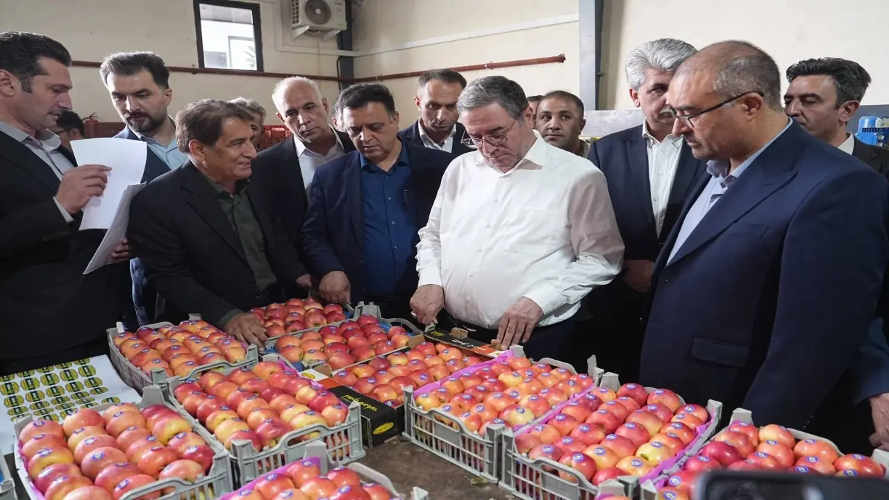 بهرهبرداری از واحد سورتینگ و سردخانه ۲ هزارتنی در مهاباد
