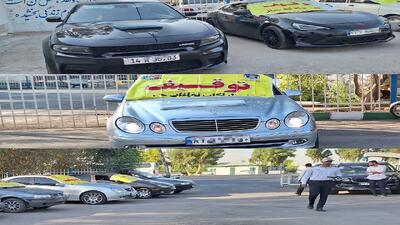  برخورد قاطع با سگ گردانی در خودرو به دستور قضایی در قم