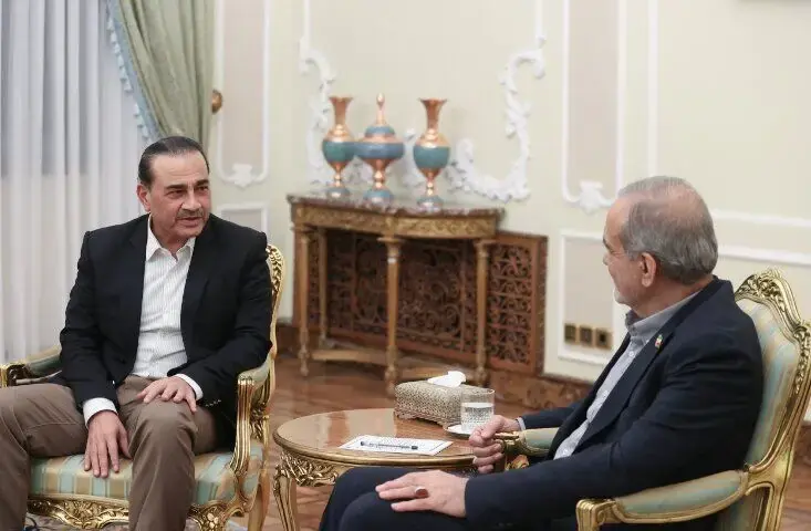 پاکستان: نشست با پزشکیان در نقطه بسیار مثبتی به پایان رسید