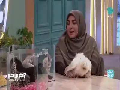  خاطره خانم شریفی مقدم از خرید جوجه رنگی در دوران عقد | آخرین خبر