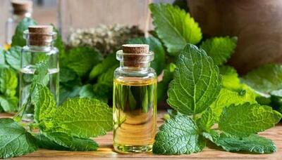 روغن کندوش (کندش)؛ از معجزهای برای رشد مو تا هشدارهای جدی درباره مصرف خوراکی + جدول خواص و روش استفاده